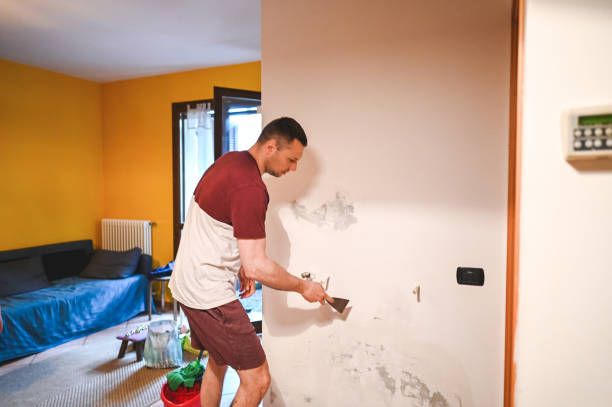 Best Mold Remediation for Specific Building Types in Ballwin, MO
